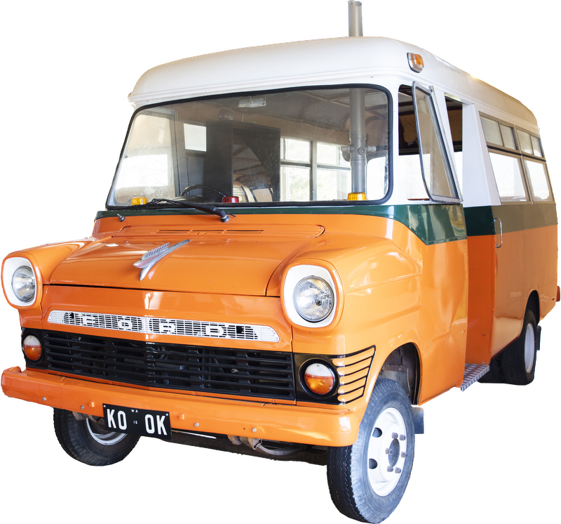 an orange, green and white school bus