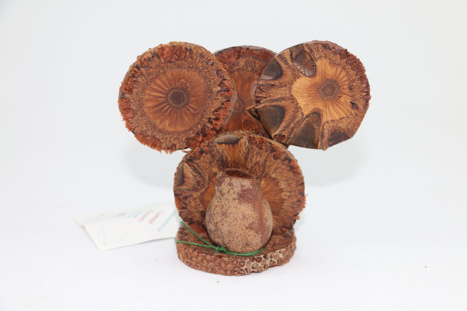 Nut styled Koala glued together with cross-cut sections of banksia in shape of a Koala with seed pods for nose and eyes and feet. A gum nut is located at back of figurine. The object is clear-varnished. Label attached to figurine with cord.