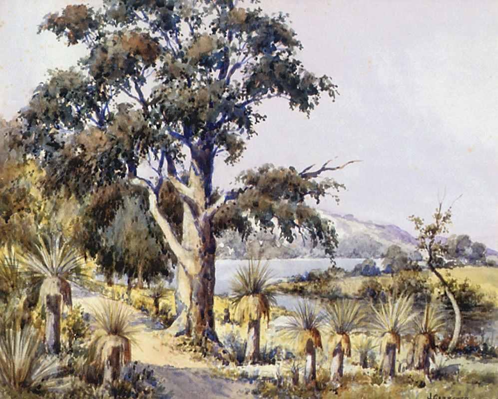 Dirt trail leading from the lower centre of the image to the left centre. Grass trees and large gumtree in the foreground on each side of the trail. River and hills in the background