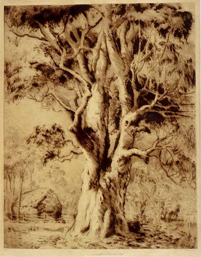 Sepia drypoint print. Large tree in the centre of the painting. A small shack or hut is in the background on the left of the image. 