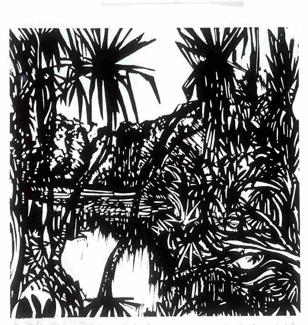 black and white linocut of jungle foliage and river