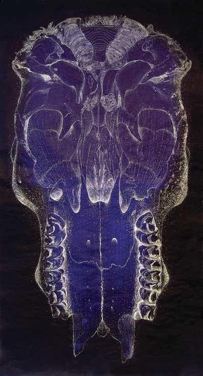 Black background with depiction of the inside of a cows' skull in purple and grey