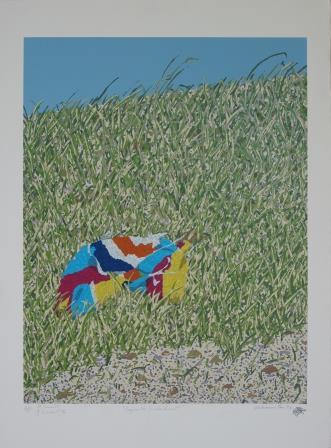 Image depicting a red, blue, white and yellow rag on a green grass embankment with blue sky at the top of the image