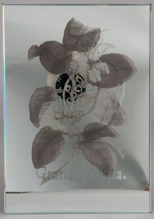 Digital print of flowers and leaves coloured primarily brown on a white background