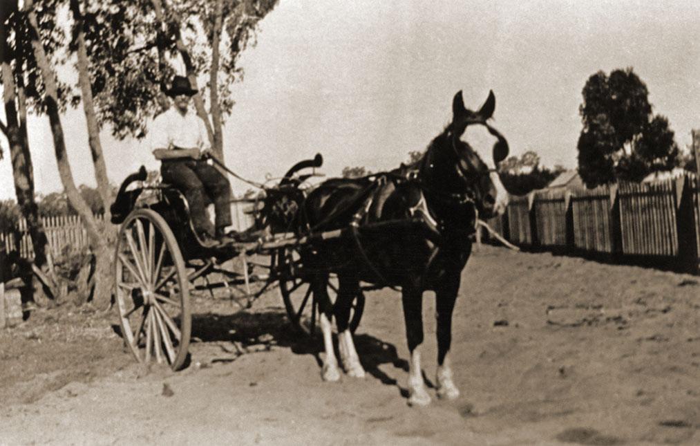 Podger & Meakins Milk Cart