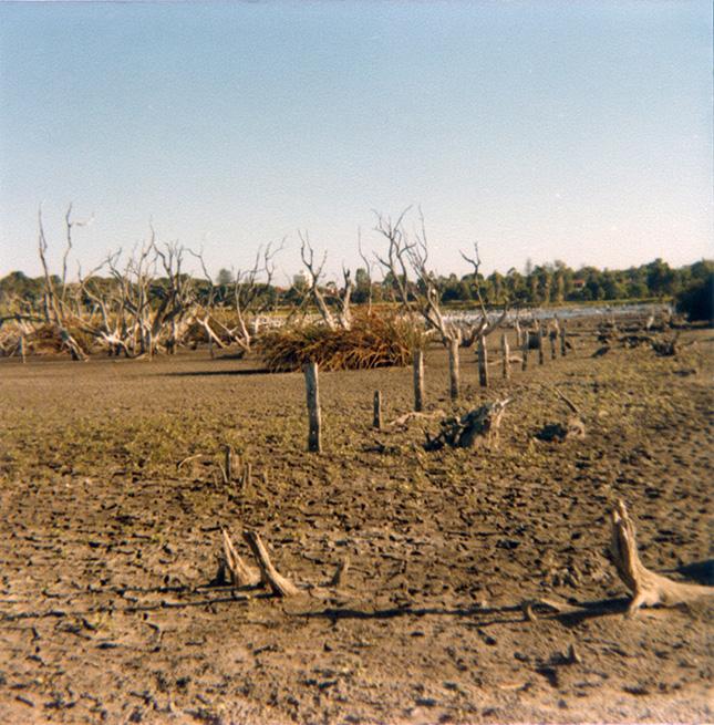 Lake Claremont During The 1977-1978 Drought