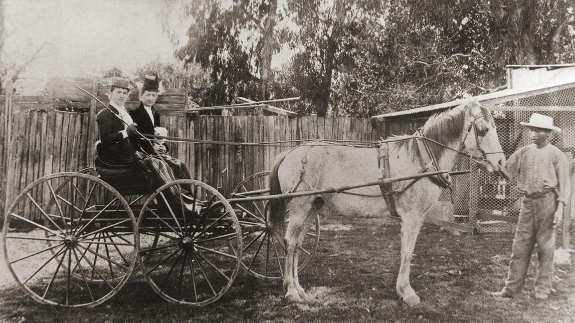 Women In Horse Drawn Phaeton