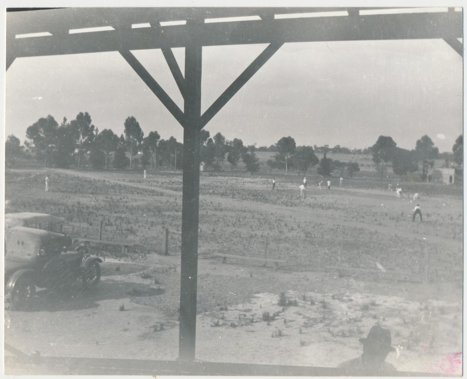 Cricket at Prosser Oval