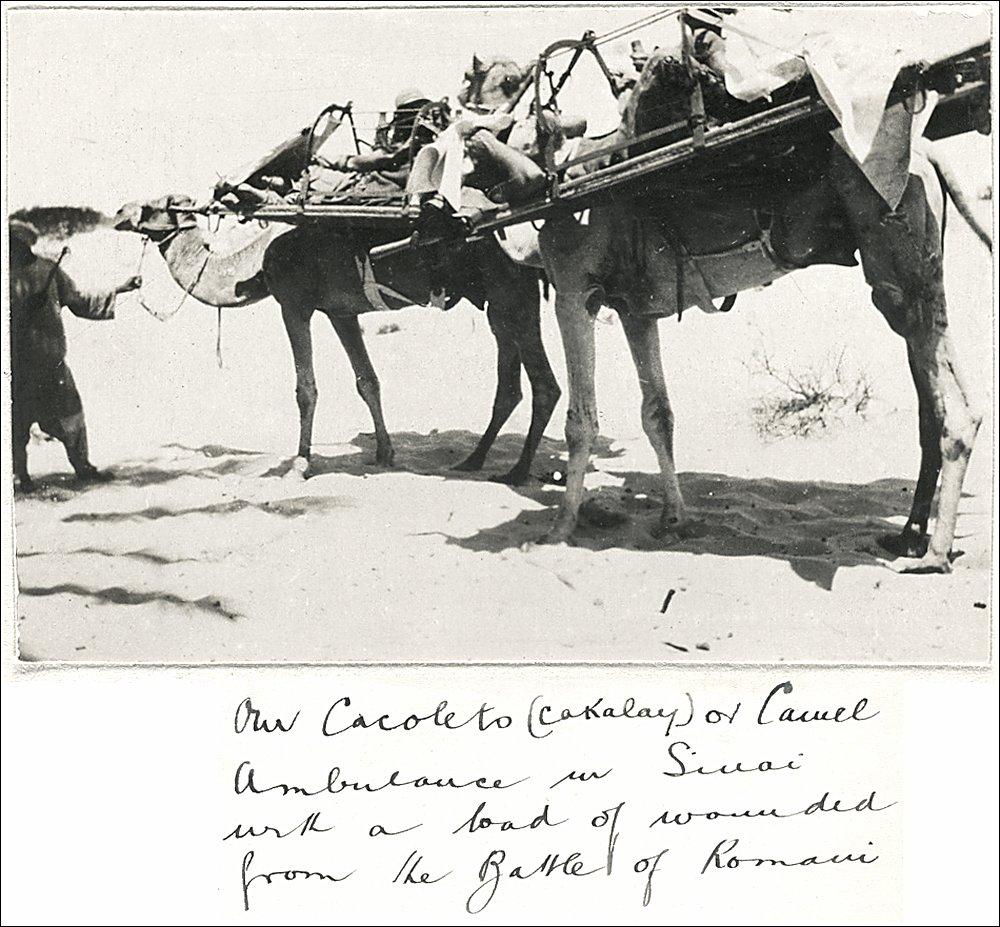 Camel ambulance