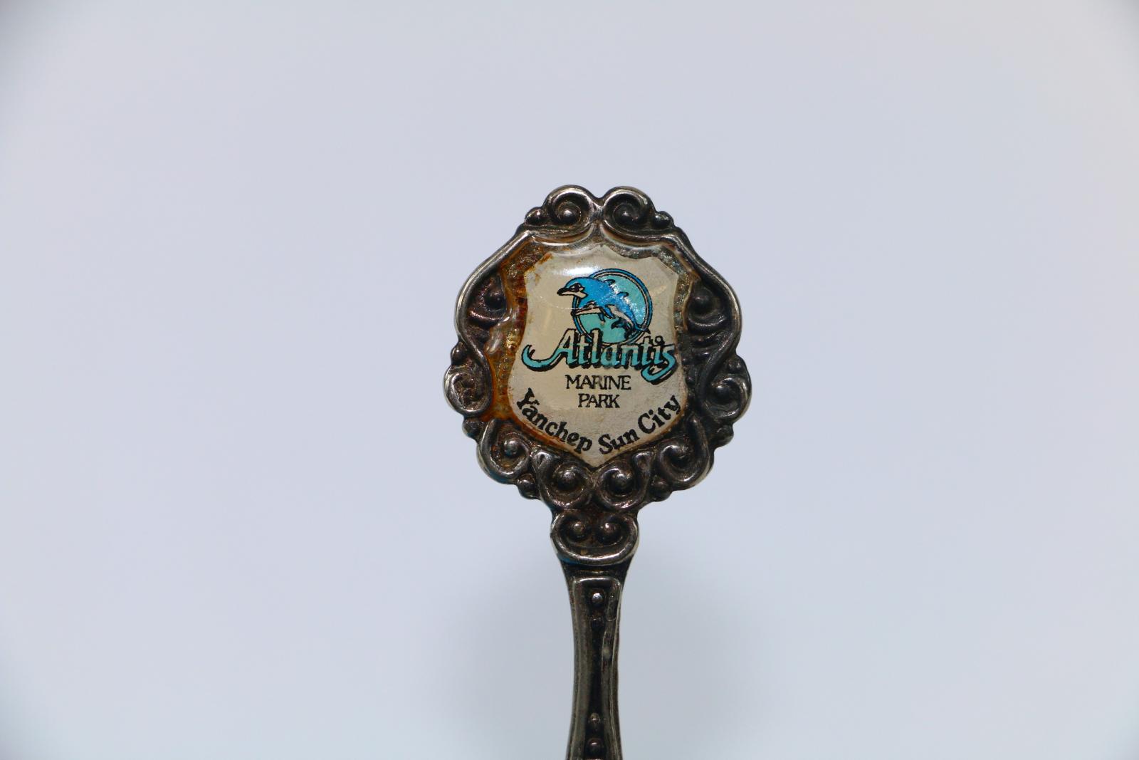 A close up of the enamel badge on top of the teaspoon which shows two blue and white dolphins.