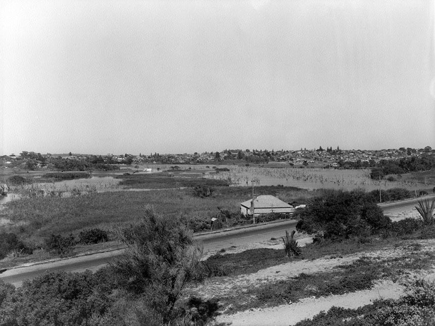 Butler's Swamp From Alfred Road