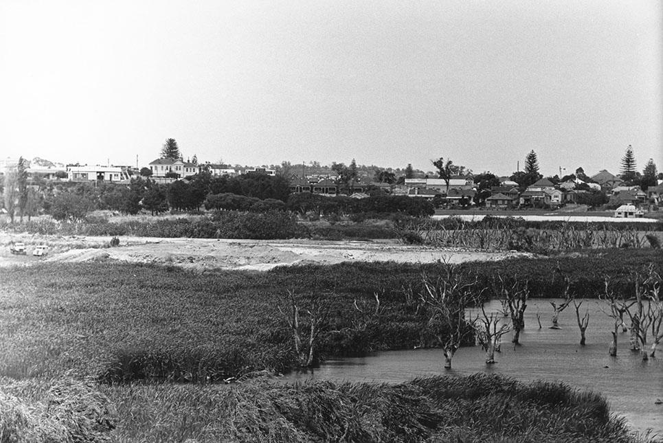 Butler's Swamp During Conversion To Lake Claremont