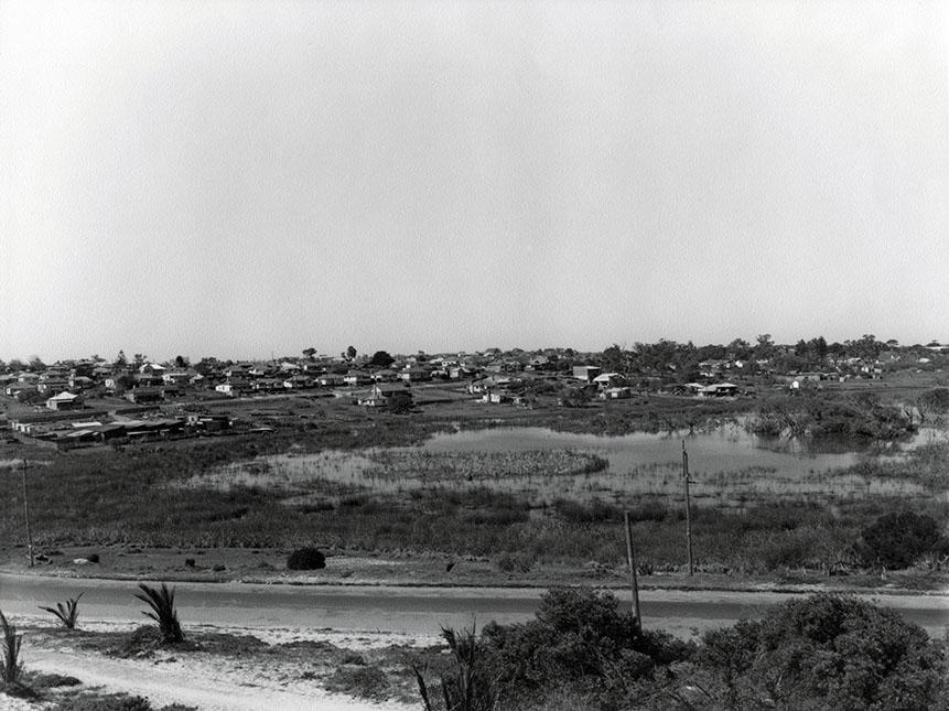 Butler's Swamp From Alfred Road