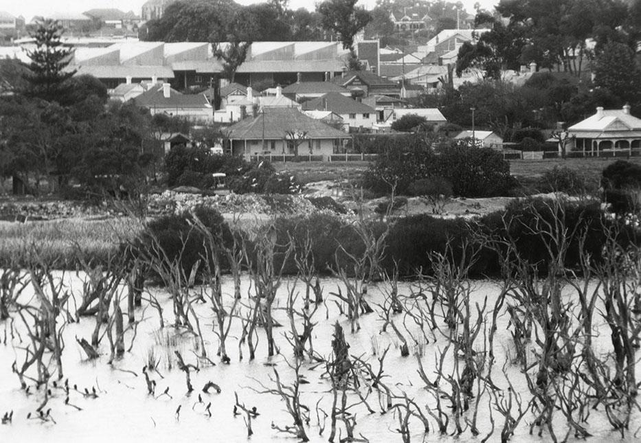 Butler's Swamp And Elliott Road During Infill