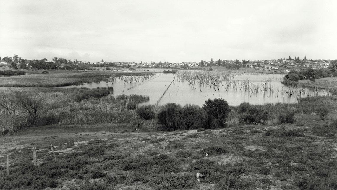 Butler's Swamp From Alfred Road Before Infill