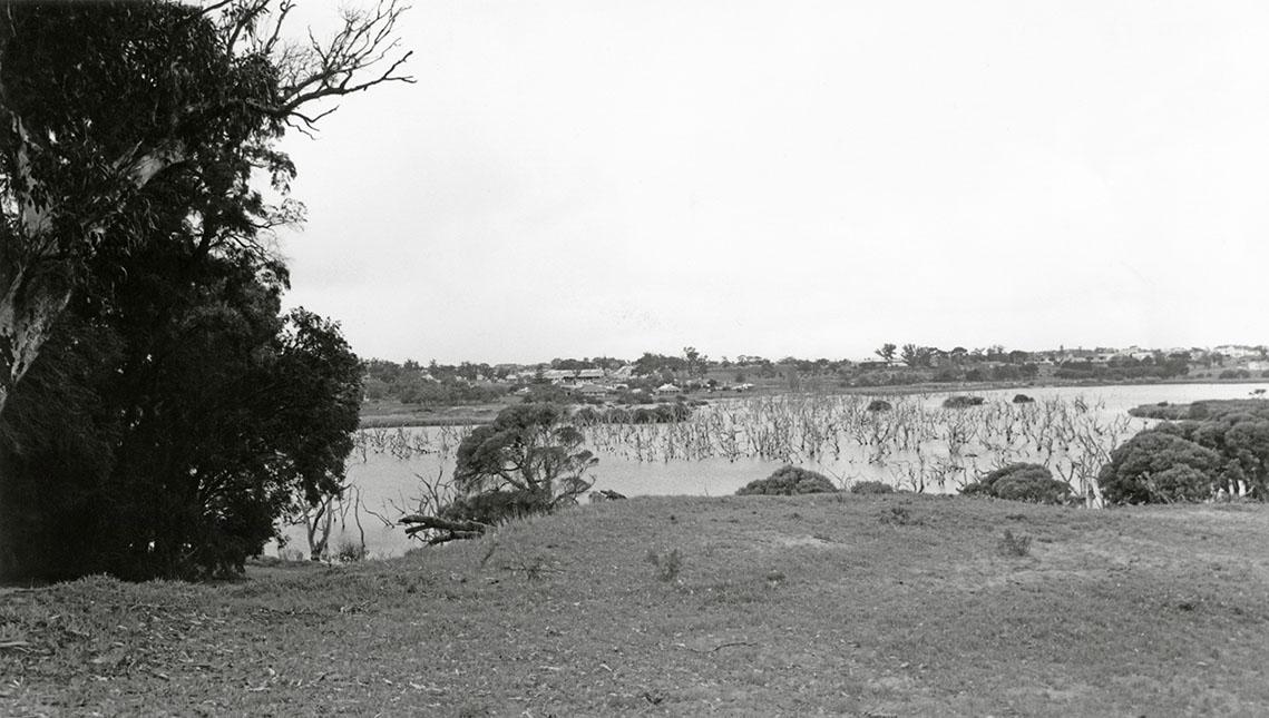 Mount Claremont From Butler's Swamp