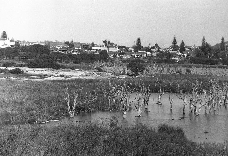 Butler's Swamp From Claremont Hotel To Christ Church