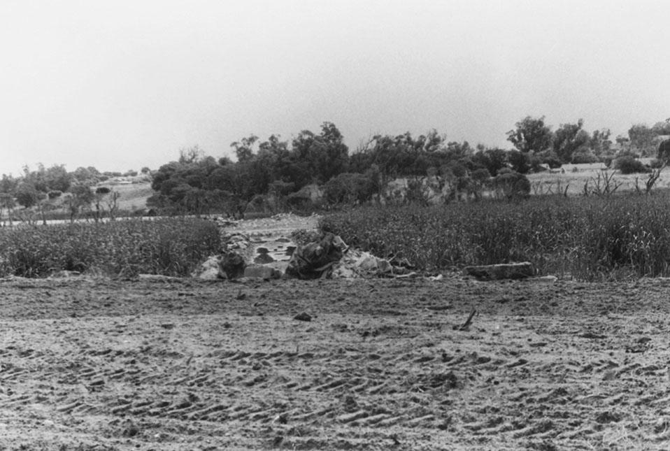 Butler's Swamp redevelopment into Lake Claremont