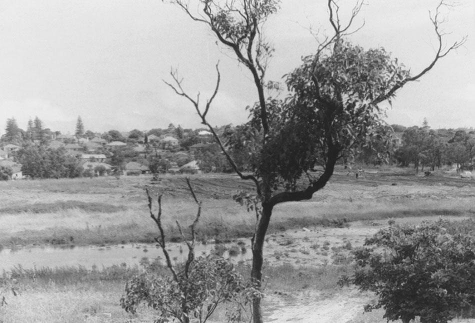 Butler's Swamp redevelopment into Lake Claremont and golf course