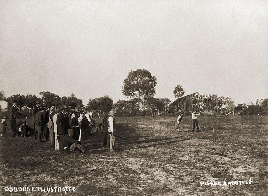 Pigeon Shooting, Osborne Hotel