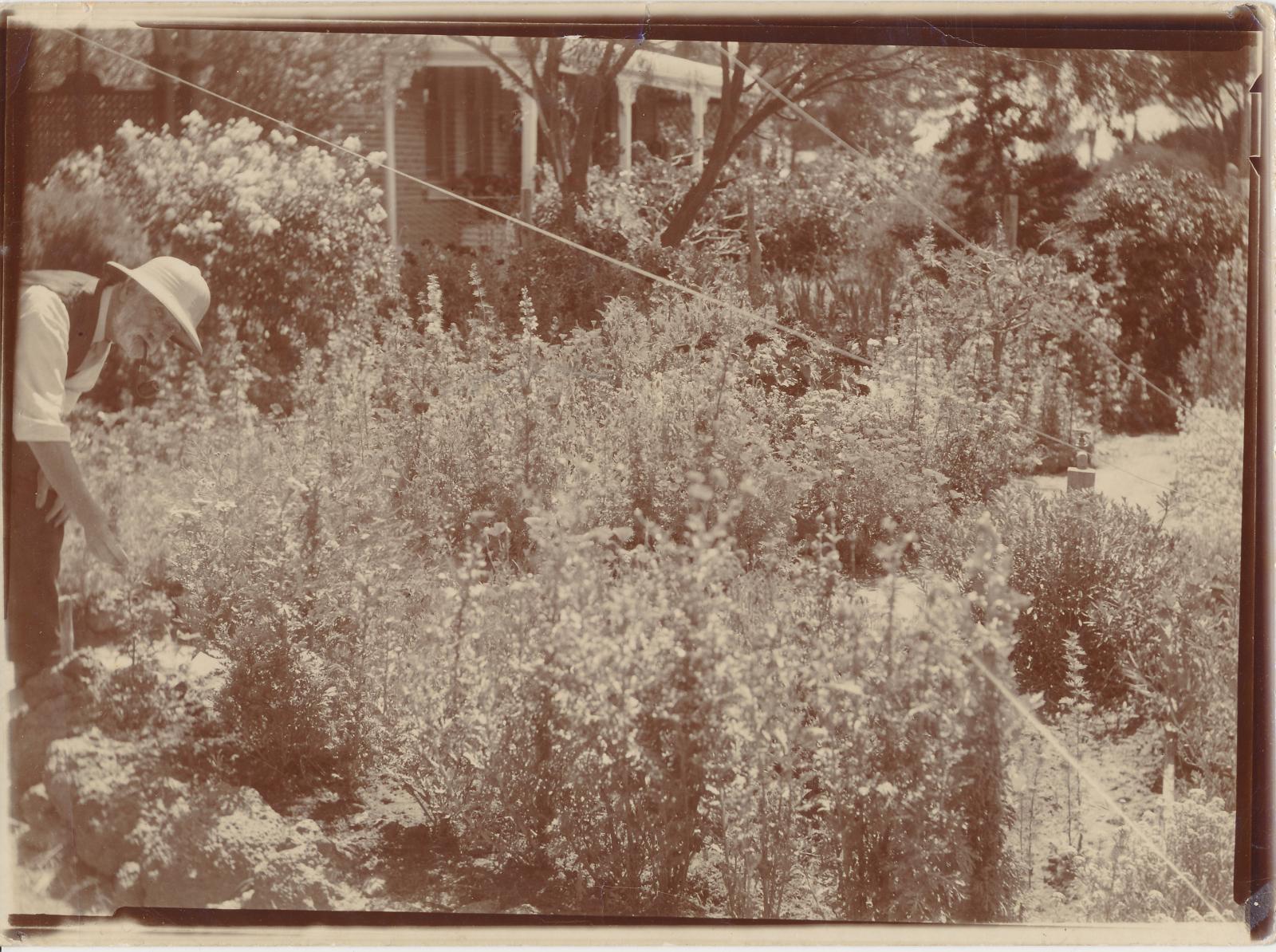 Frank Martyn in his garden in Arbour Street Katanning