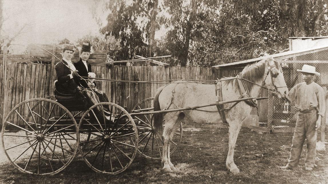 Horse Drawn Phaeton With Two Ladies