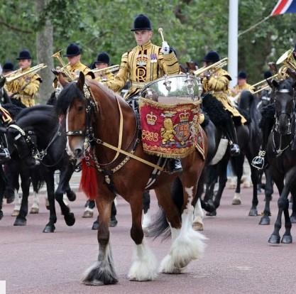 Drum Horse