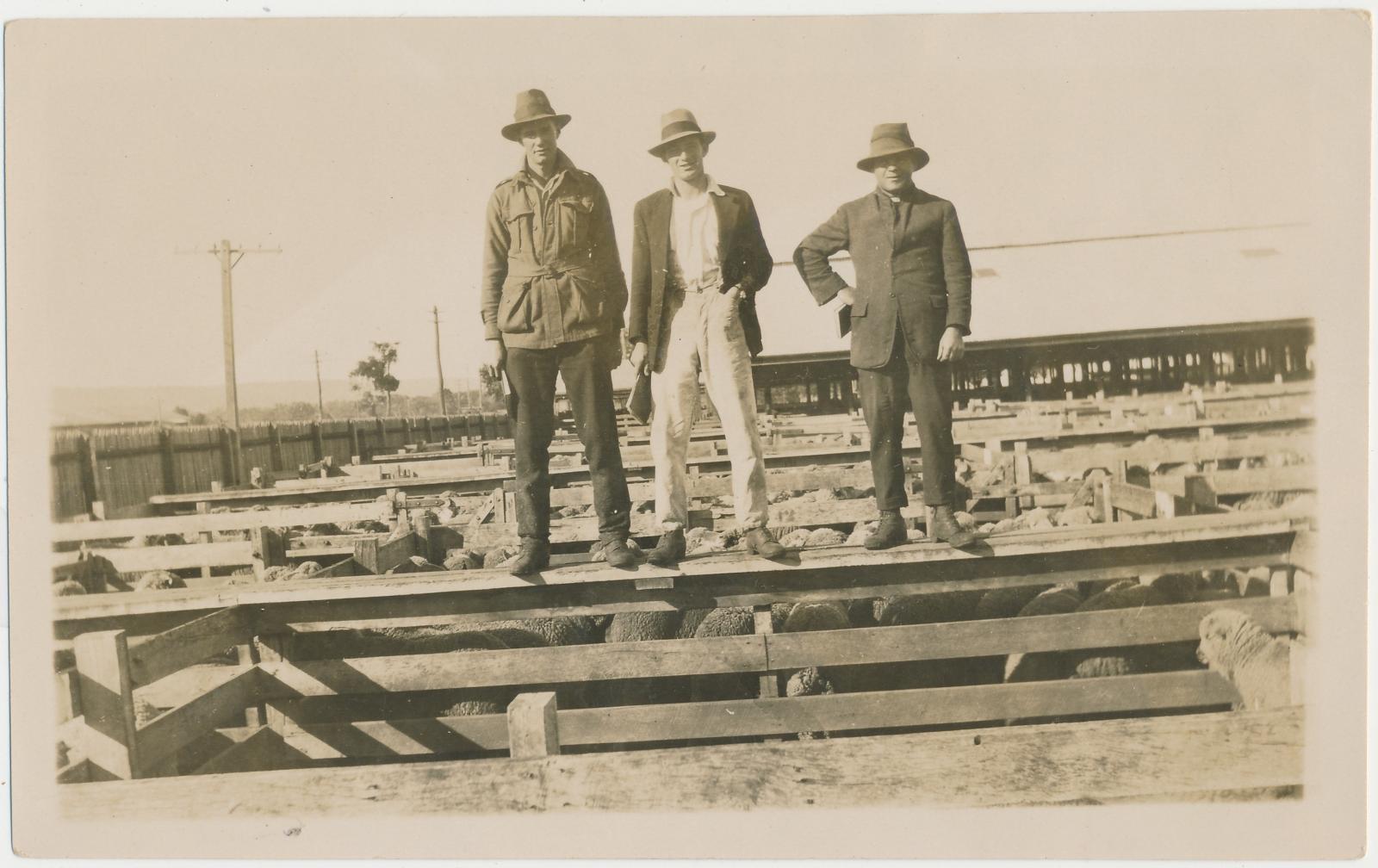 Auctioneers at Saleyards