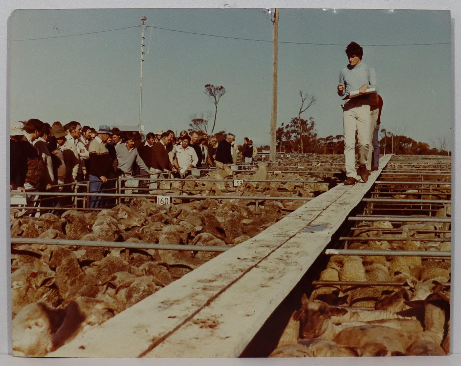 Katanning Sale Yards