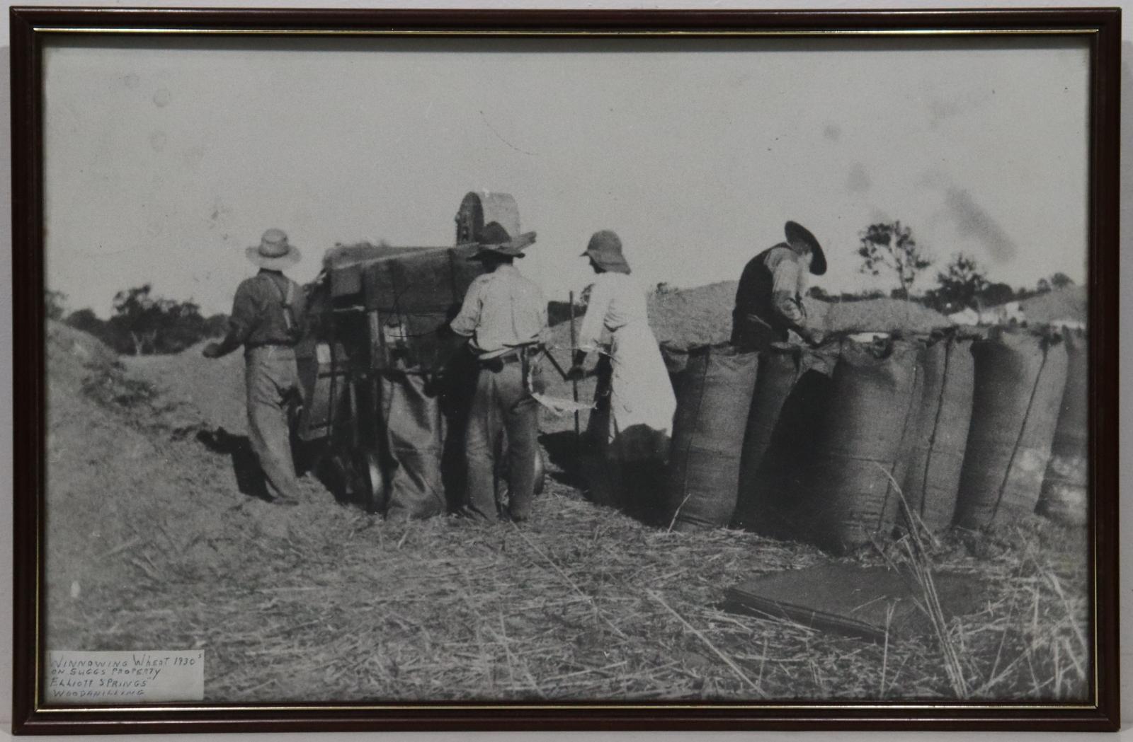 Winnowing Wheat at 'Elliott Springs'