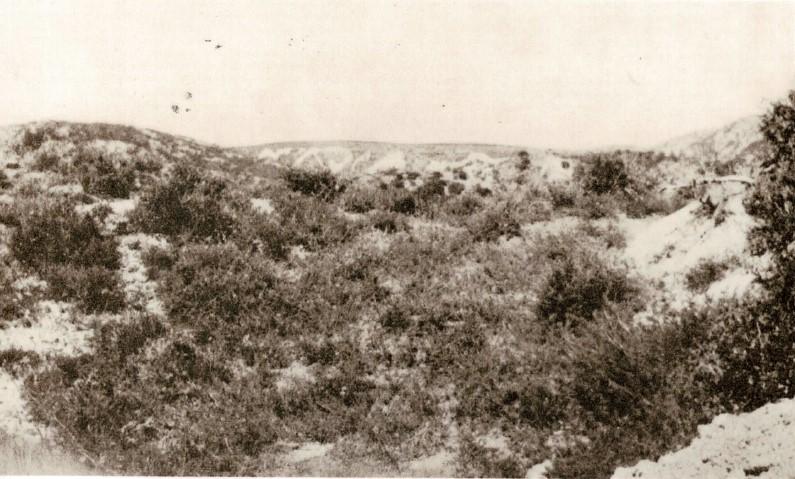 Turkish-trenches-at-Walker's-Ridge