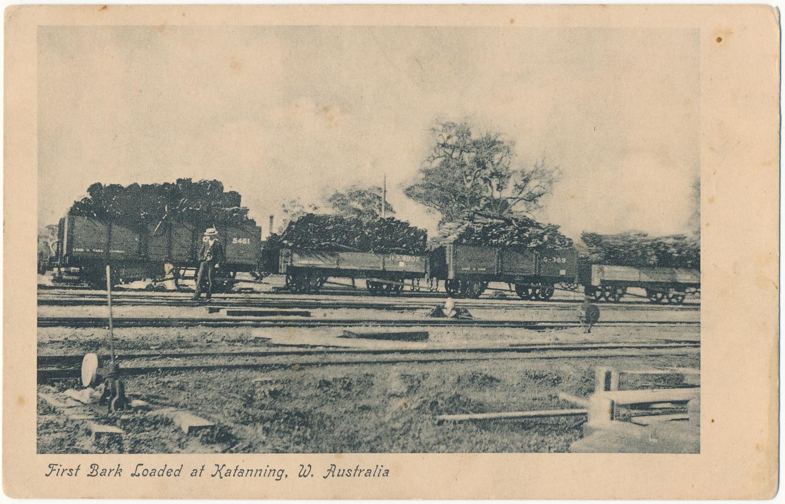 First Bark Loaded at Katanning W. Australia