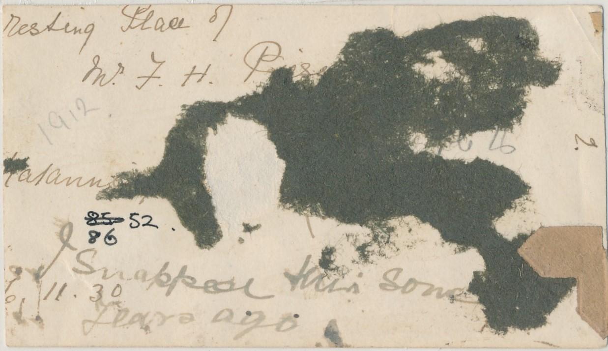 Back of photograph of grave of Hon. F.H. Piesse