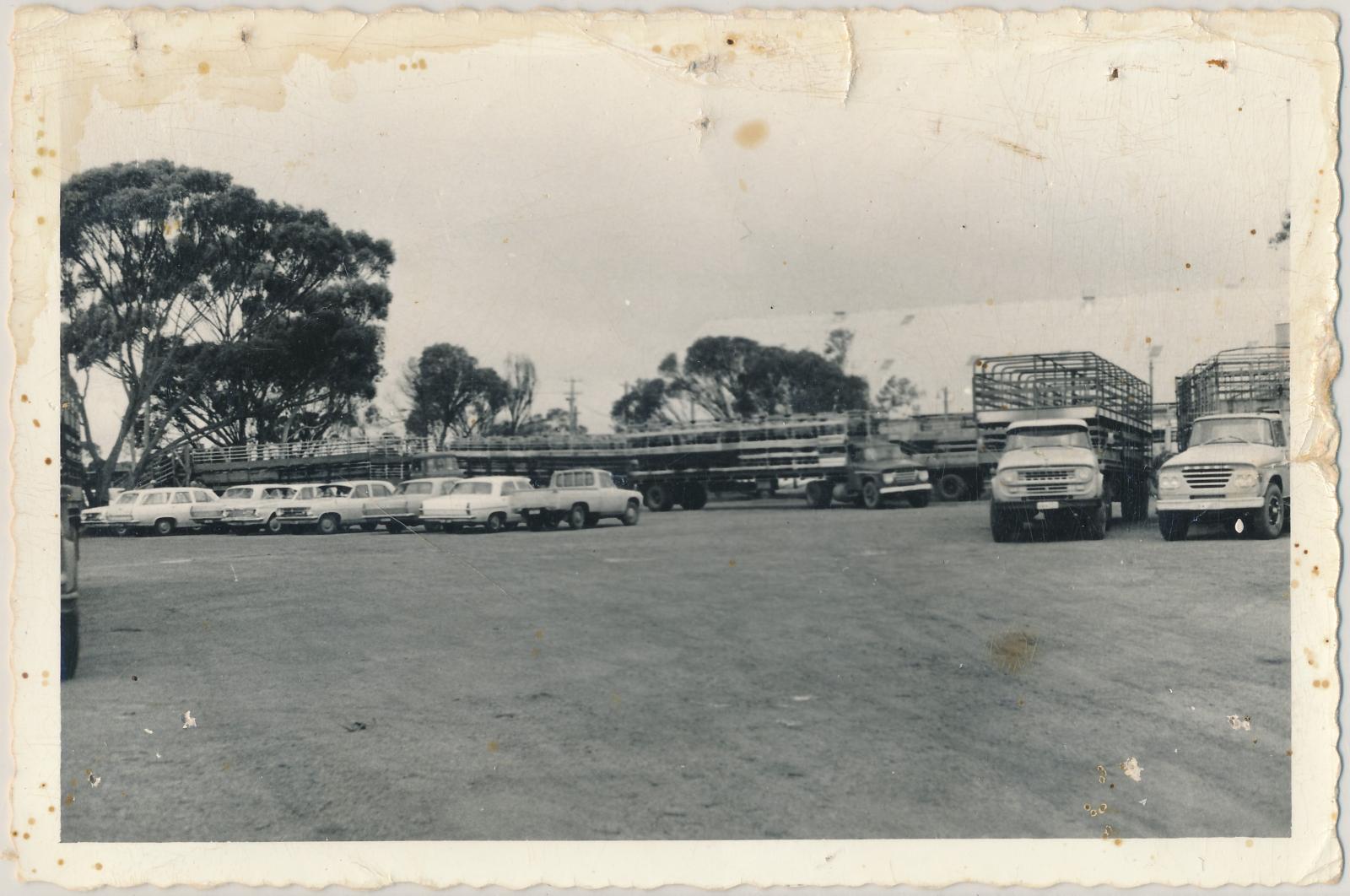 Katanning Sale Yards