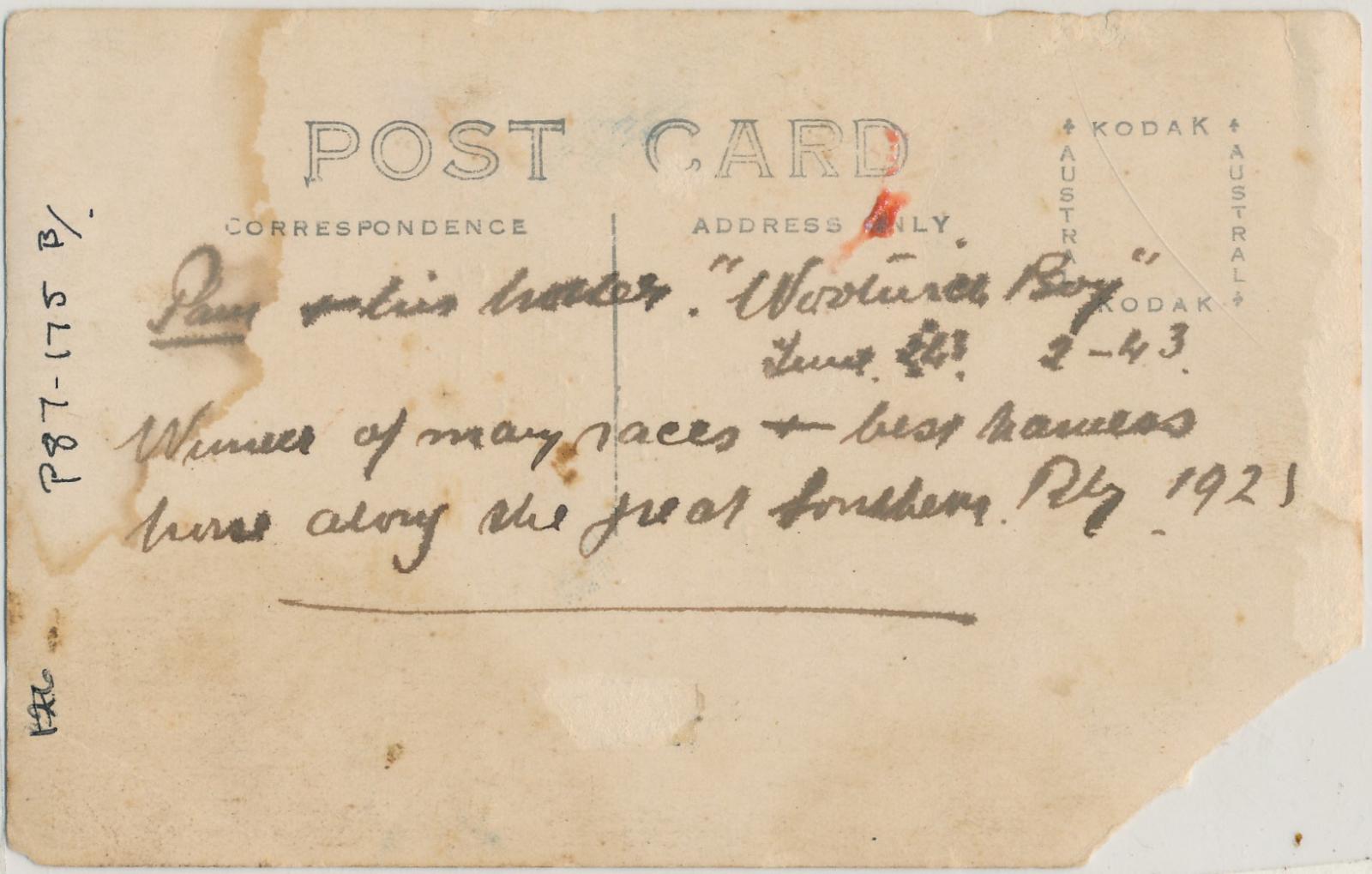 Back of postcard of Alf Pamment with his horse 'Woolwich Boy'