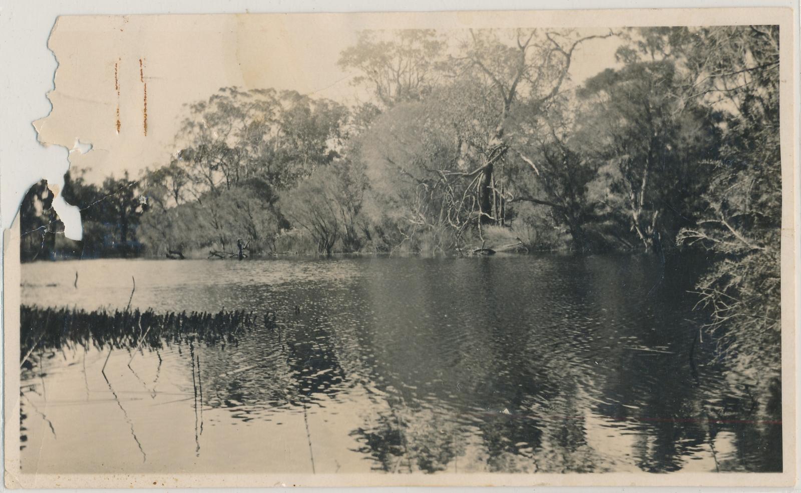 Carlecatup River at Cherry Tree Pool