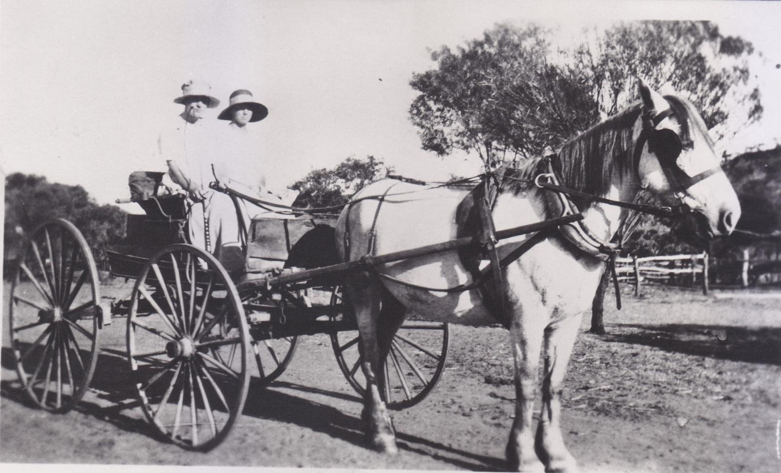 B/W photograph of horse and buggy with 2 women