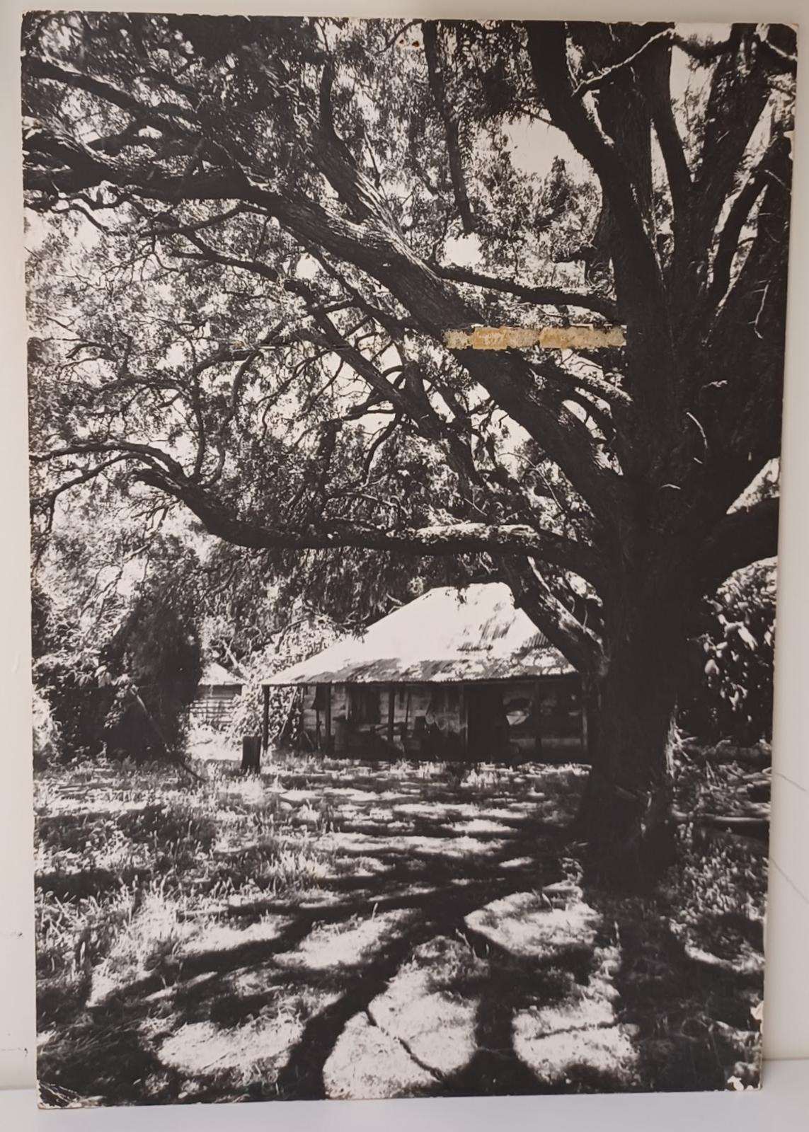 Image A