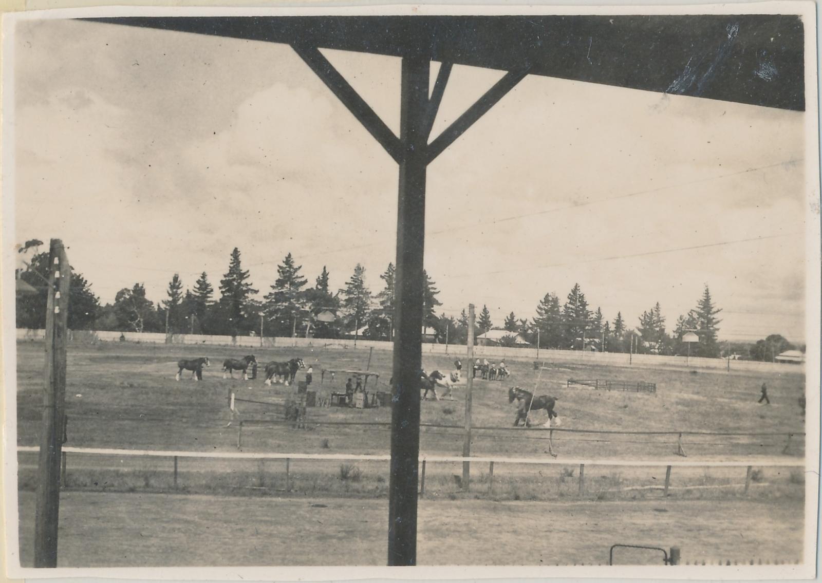 Katanning Show