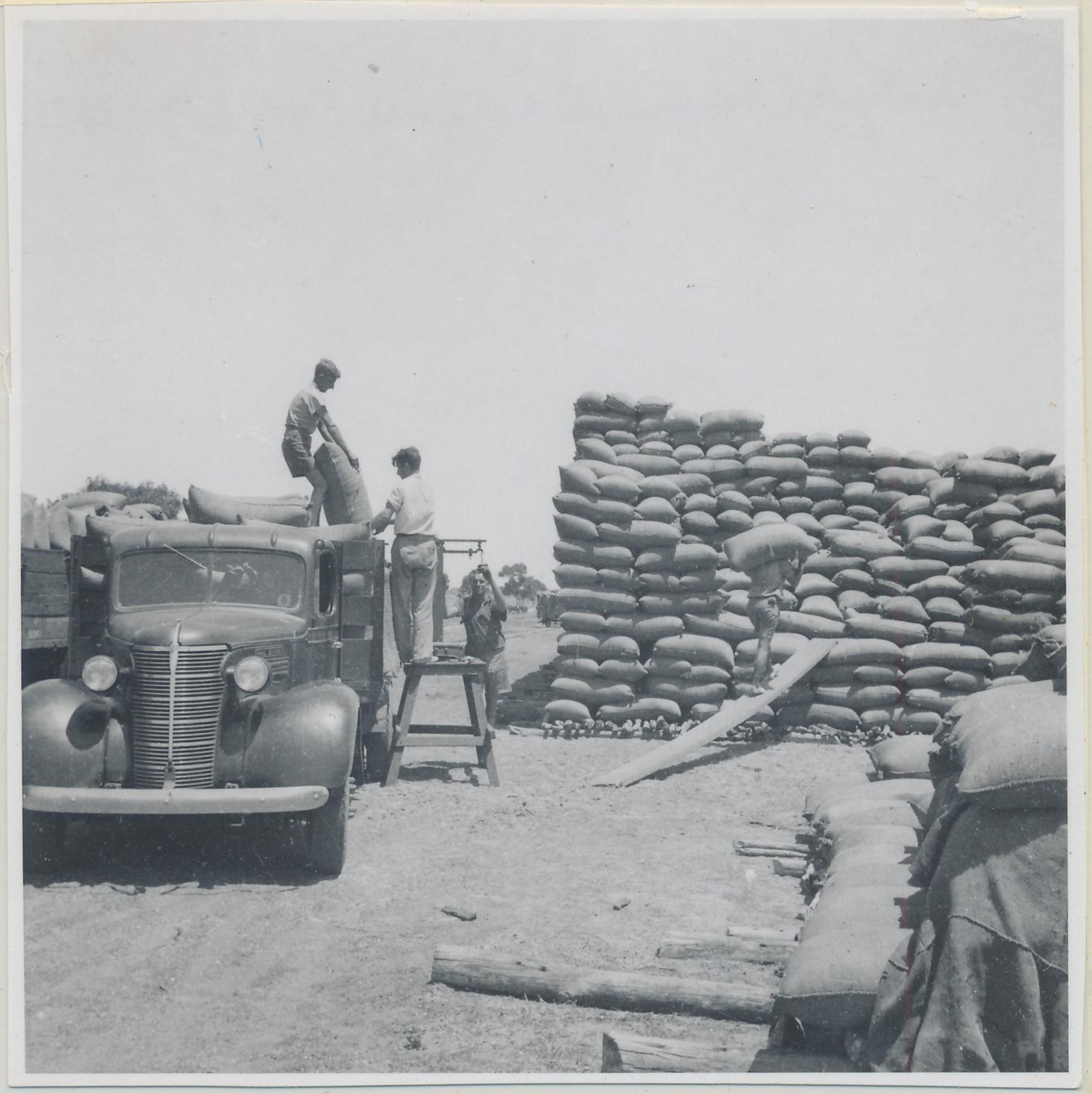 Coyrecup Siding - Stacking Wheat