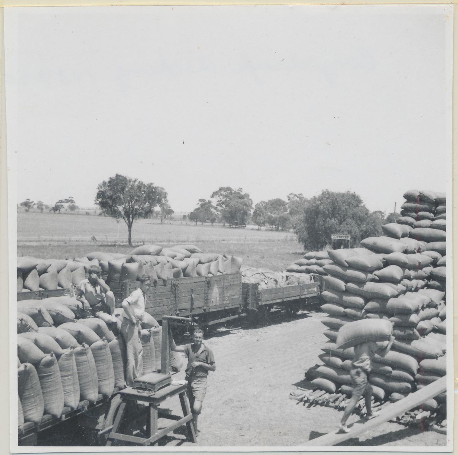 Coyrecup Siding- Unloading Wheat