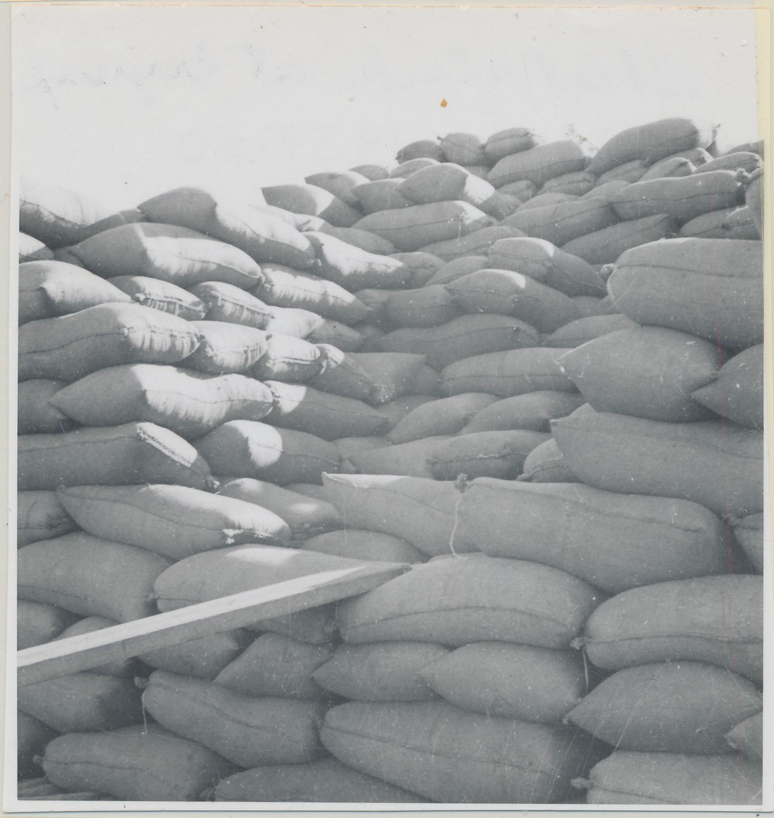 Coyrecup Siding - Stacking Wheat