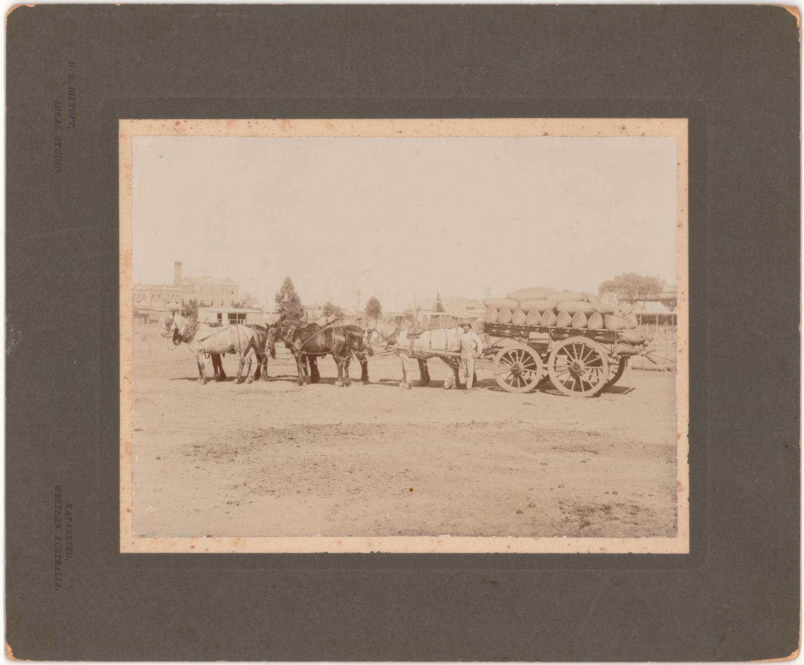 Horse Team, Wagon and Grain