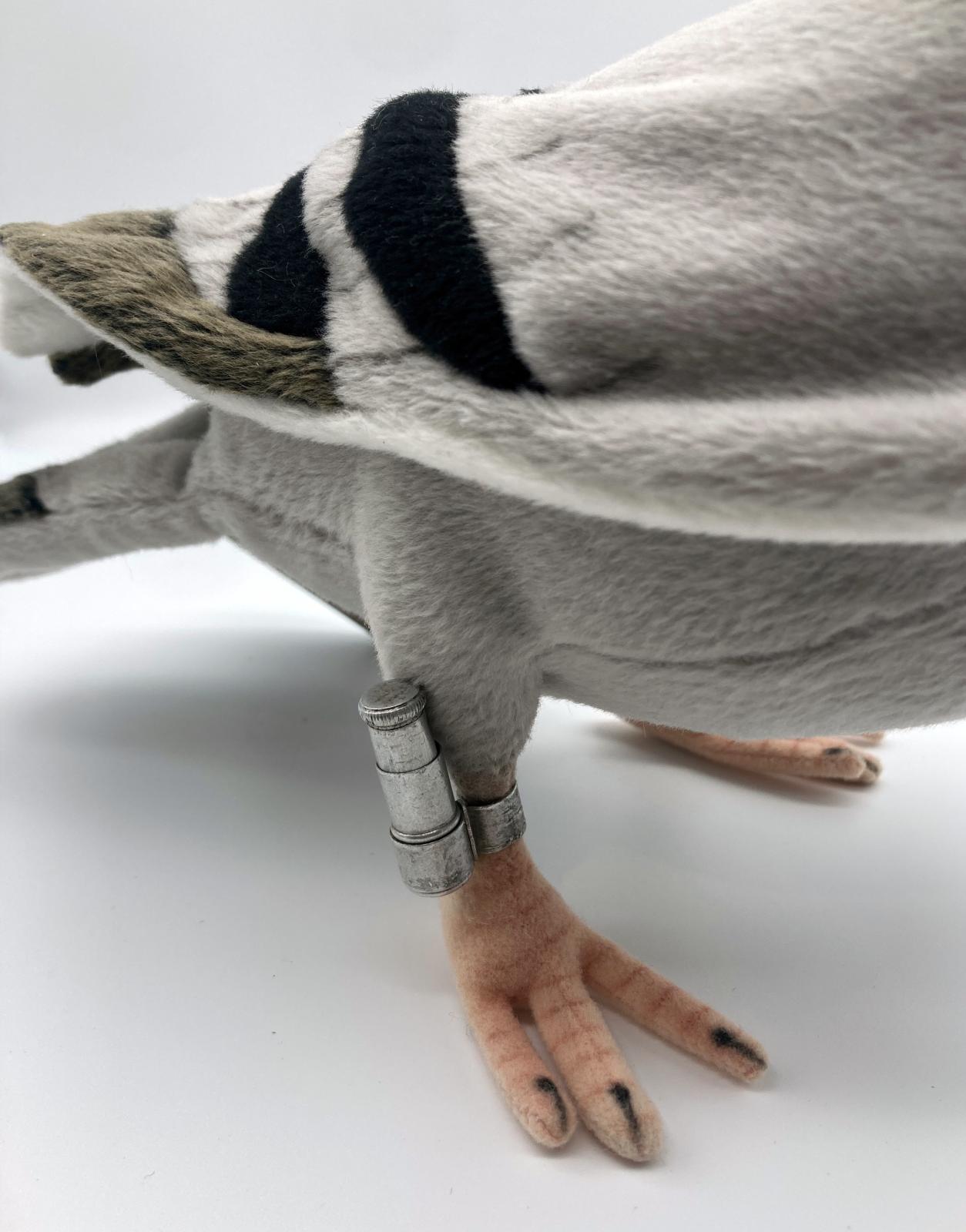 Close up of canister on leg of plush pigeon