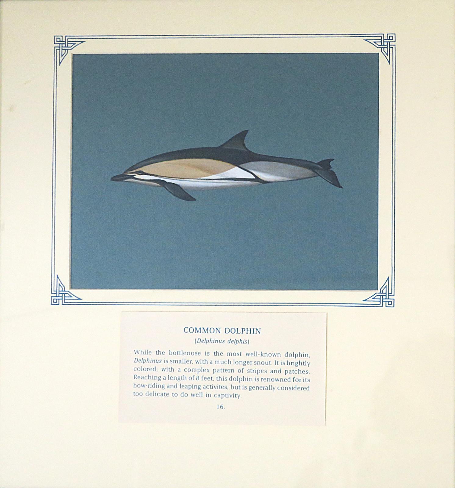 Painting of a highly patterned dolphin with pointed beak, and triangular dorsal fin, on blue card with inscription.