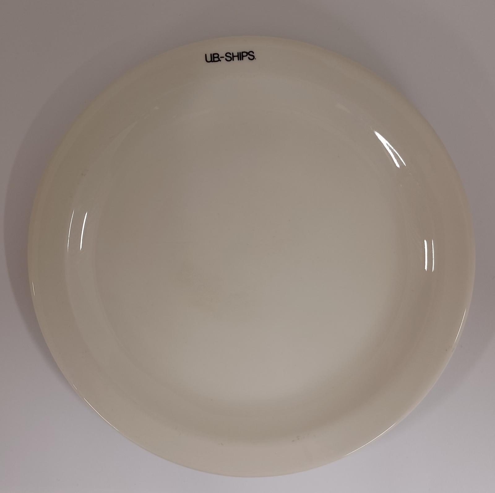 Dinner plate