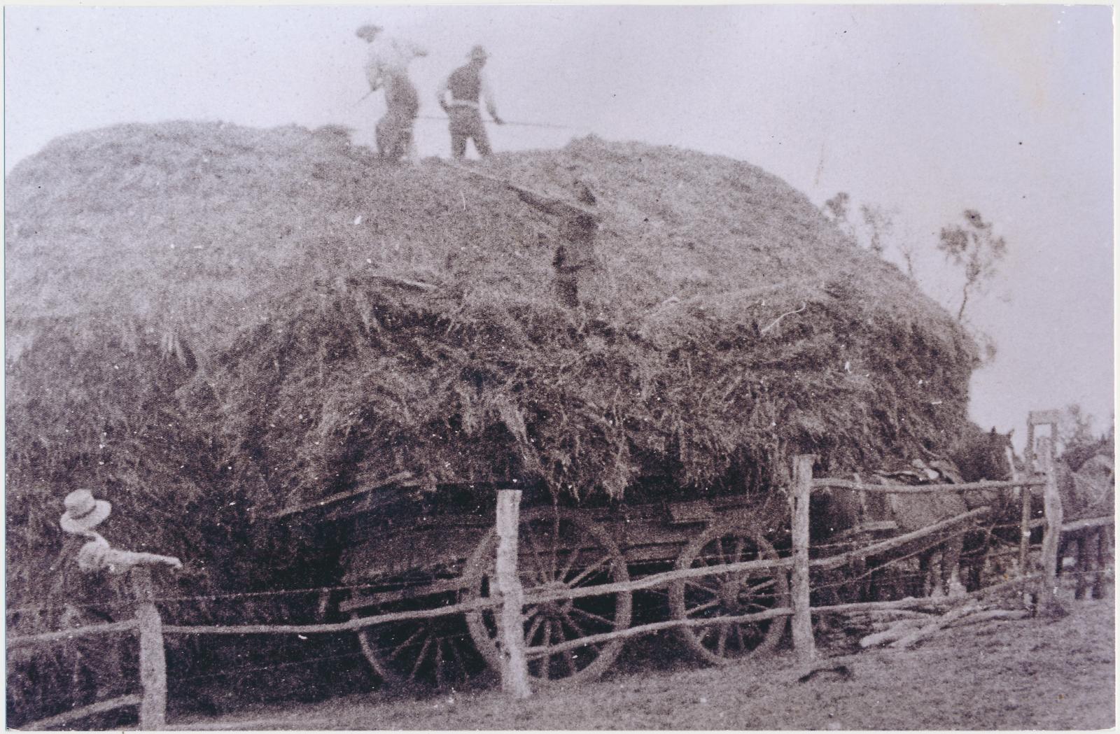 Finishing Haystacks on 'Rockwell' farm