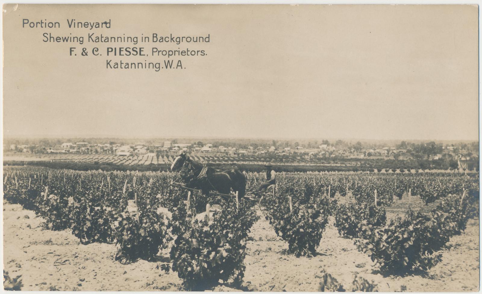 Portion Vineyard