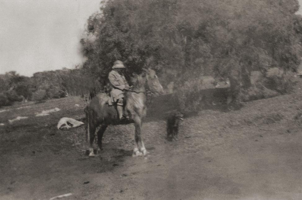 Person On A Horse