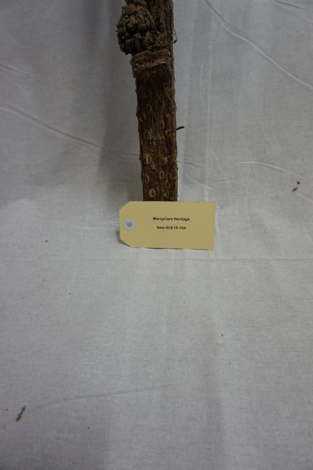 Bark Jesus on Cross